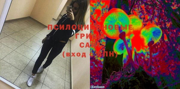 ПСИЛОЦИБИНОВЫЕ ГРИБЫ Волосово
