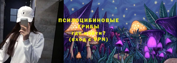 ПСИЛОЦИБИНОВЫЕ ГРИБЫ Волосово