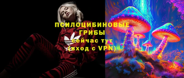 ПСИЛОЦИБИНОВЫЕ ГРИБЫ Волосово