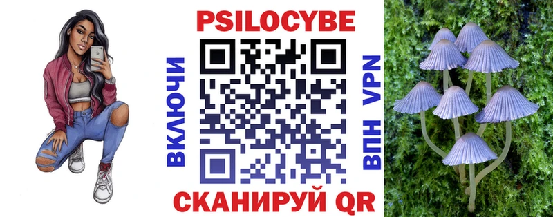 Псилоцибиновые грибы мицелий  Светлоград 