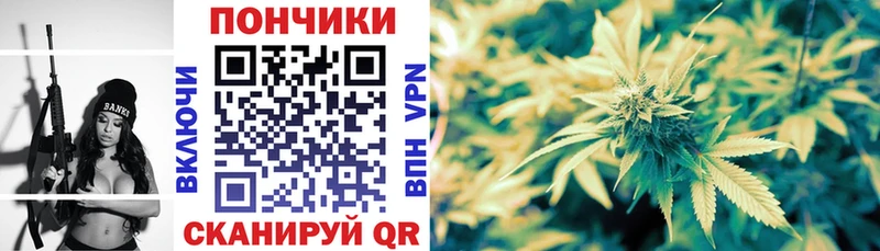 Шишки марихуана план  omg   Светлоград 